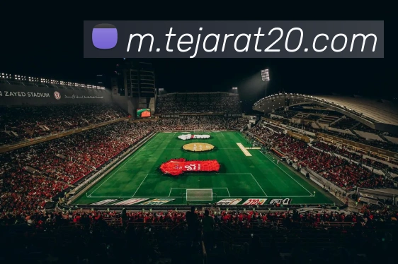 星空网站网页版入口发展历程